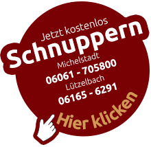 Button für kostenfreien Musikunterricht